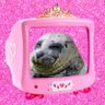 Little Seal Girl's profile picture