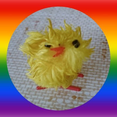 Tim 🏳️‍🌈's profile picture