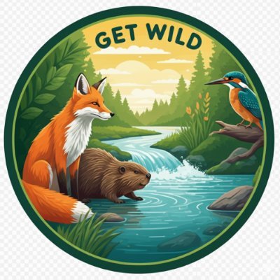 mitchellsnik's profile picture