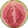guayaba🇻🇪's profile picture