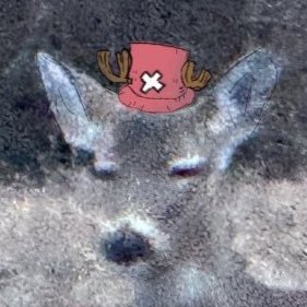 drew's profile picture