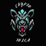 Crypto Tolga 的头像