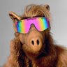 ALF 的头像