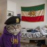 🇮🇷سالارد🥗 的头像