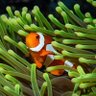 Фото профиля Jimmehdefish