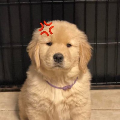 ppmuggle_lo's profile picture