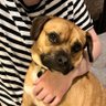Cassie (Bram 🌈 Darwin 🌈) profil fotoğrafı