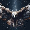 ALI's profile picture