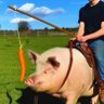 Profilbild von Dam ImaBumYo