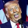 Profilbild von Trumpisforsale
