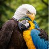 Samantha Josephine M. 🇺🇸📌 profil fotoğrafı