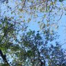 ⋆°•☁︎⋆ profil fotoğrafı