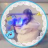 Profilbild von こまちゅめぇ