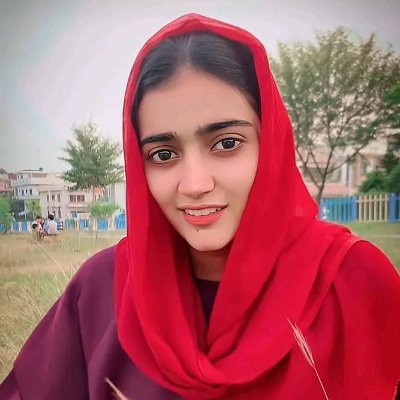 Sadia Malik's profile picture