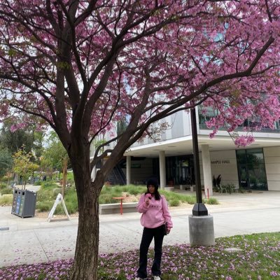 Hayfzz's profile picture