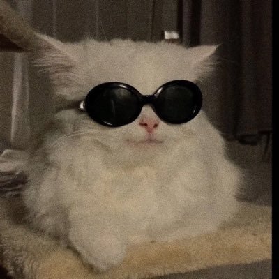 PookieTrader's profile picture