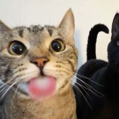 sarah🥭's profile picture