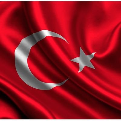 🇹🇷Sevim Yılmaz Aldemir's profile picture