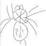 ただの蜘蛛好き's profile picture