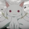 きゅうべえ profil fotoğrafı