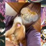 Фото профиля はとむぎぃ！