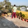 Profilbild von Himanish Singh