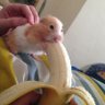 🌴Jeremy🇰🇪👣 profil fotoğrafı