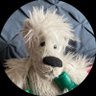 Tesla Dawg's profile picture