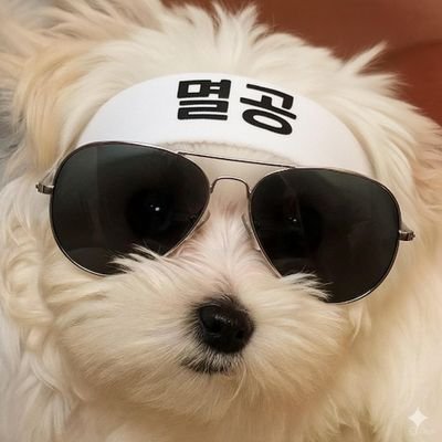 Gom's profile picture