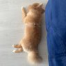 Su profil fotoğrafı