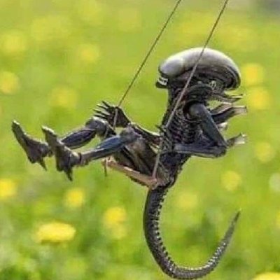 Damocles561's profile picture