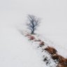 Фото профиля Ferhat Gücüyeter