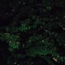 Фото профиля kzmgrk