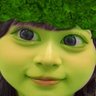 カモミールティー's profile picture