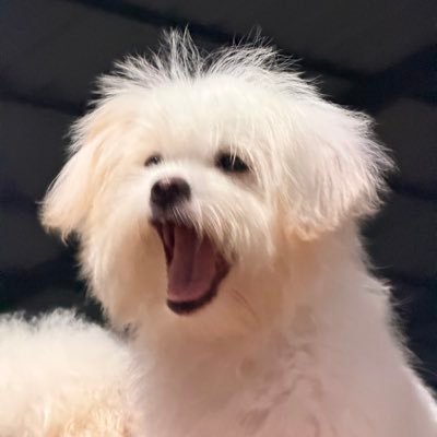 karntcsk's profile picture