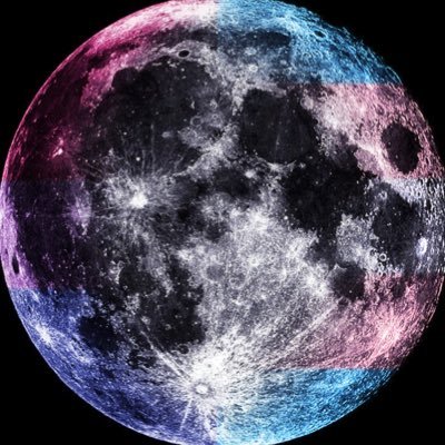 spacerexia's profile picture