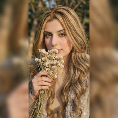 haazarian4242's profile picture