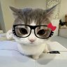 madee 🐈⬛ 的头像