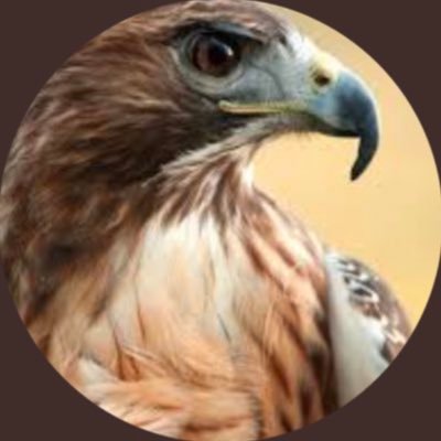 RedHawk's profile picture