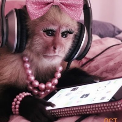 아야짱🐒あやちゃん's profile picture