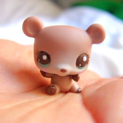 고구미's profile picture
