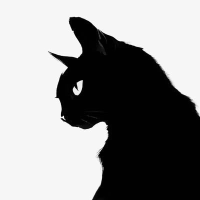CnBKCT's profile picture