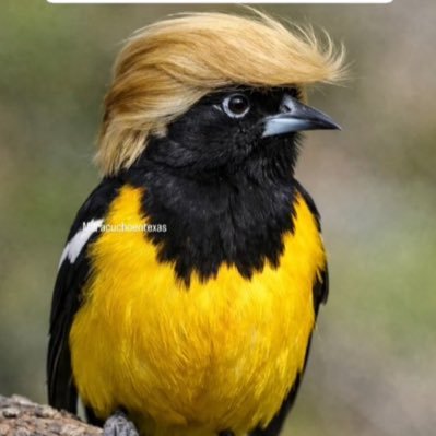 alexgomez18's profile picture
