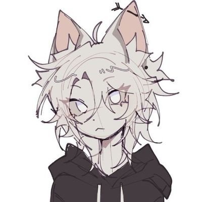pixxfem's profile picture