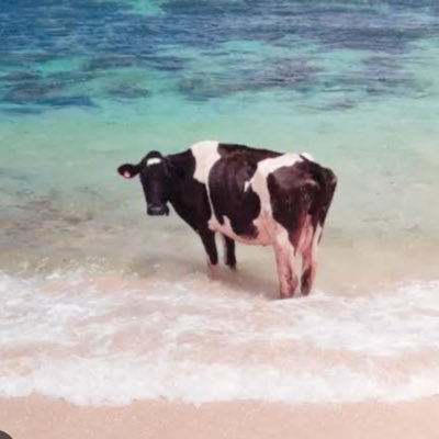 krownnist's profile picture
