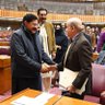 SMT RAJA KHURRAM NAWAZ MNA NA48's profile picture