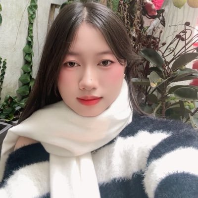 Trinh Viet's profile picture