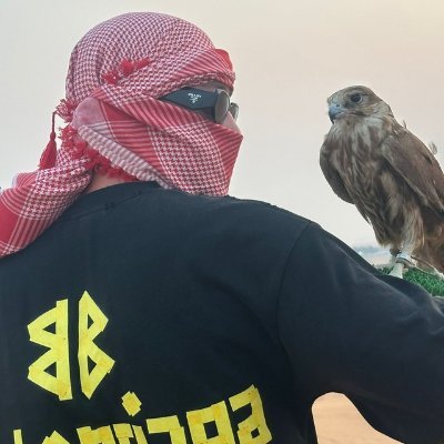surskity's profile picture