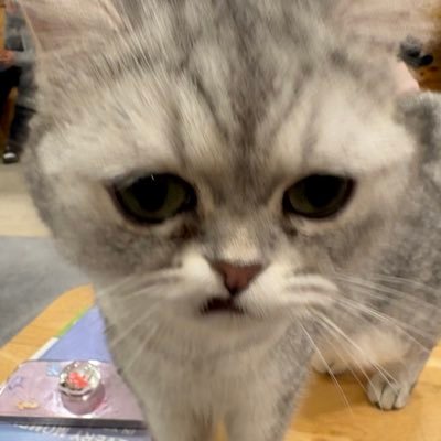 은's profile picture