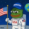 Space Groyper profil fotoğrafı